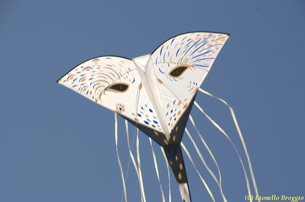 32 FESTIVAL CERVIA 2012 - 244.jpg